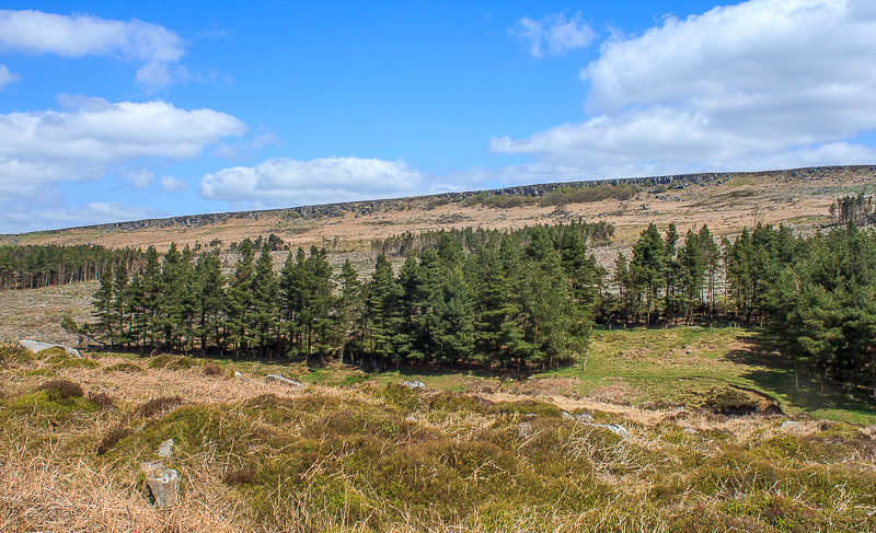 Burbage Rocks